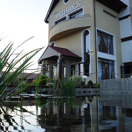Anthimos Hotel Băile Felix Buitenkant foto
